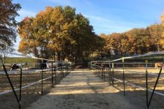Paddock3